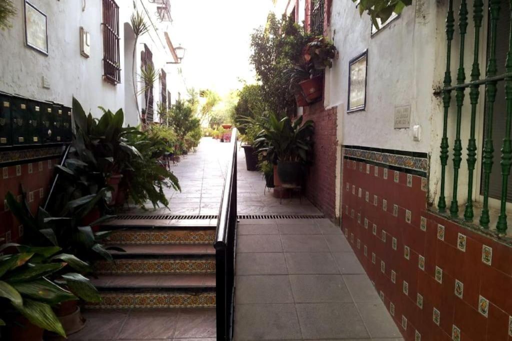 Tipico Y Pintoresco Patio De Vecinos, Con Encanto Севилья Экстерьер фото