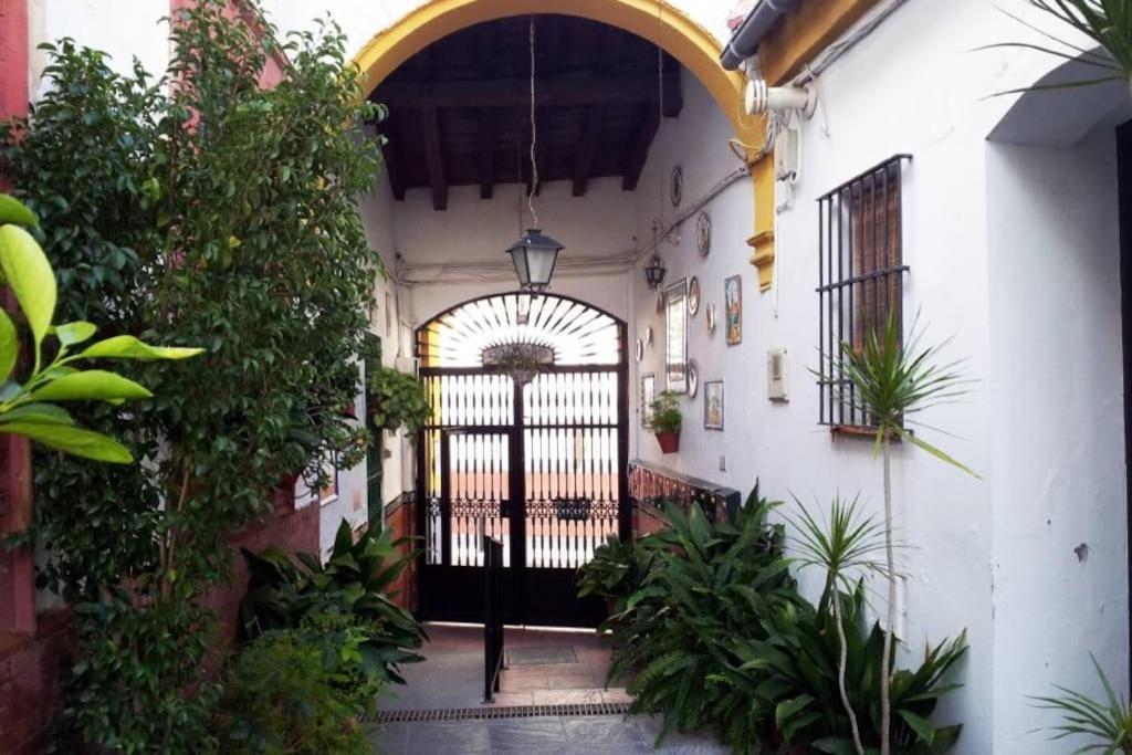 Tipico Y Pintoresco Patio De Vecinos, Con Encanto Севилья Экстерьер фото