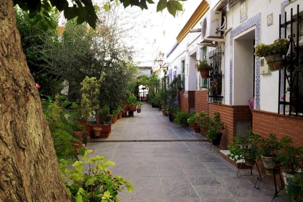 Tipico Y Pintoresco Patio De Vecinos, Con Encanto Севилья Экстерьер фото